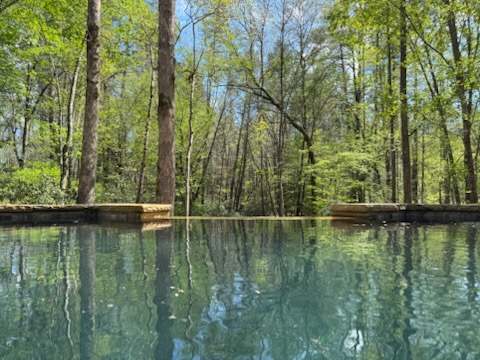 Solitude Pools - BIOdesign Pool Builder in North Georgia